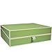 Semikolon Letter/A4 Size Document Storage Box, Lime Green (31912)