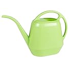 Bloem Aqua Rite Watering Can, 36 oz, Honey Dew (AW15-25)