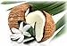 Monoi de Tahiti Oil-100% Natural-1 ounce Glass Bottle w/Pump