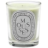 noisetier candle