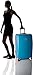 Anne Klein Palm Springs 28” Hardside Spinner Luggage, Turquoise Carnation