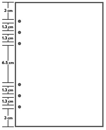 A5 Blank Paper - 150 Sheets (300 Pages) - 6 Hole Punched - 100 GSM (24 lb.) - for FiloFax, A5 Planners, Organizers, and Binders - 148mm x 210mm (5.83" x 8.27")
