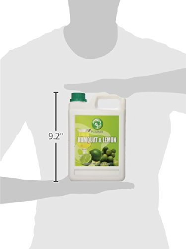 Possmei Flavored Syrup, Kumquat Lemon, 5.5 Pound - Thumbnail 4