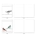 The Best Card Company - 10 Bird Note Cards Blank (4 x 5.12 Inch) - All Occasion Cards with Envelopes, Boxed Set - High Wire Birds M3318