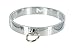 Master Series Chrome Slave Bondage Collar, Small / Medium
