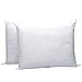 IZO Home Goods Premium Hypoallergenic Stuffer Pillow Insert Sham Square Form Polyester, 12