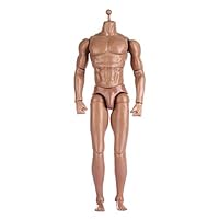 ZYAQ 1/6 Scale Action Figure Male Muscular Body Toys Doll fits TTM18 TTM19 Hot Toys