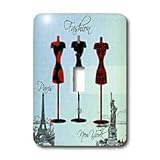 3dRose LLC lsp_123393_1 Paris and New York Fashion