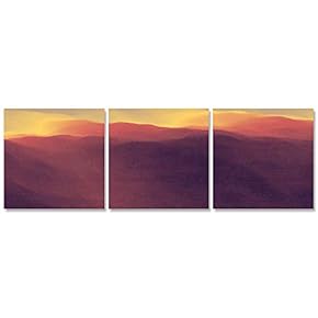 Canvas Wall Art Abstract Color Collage Painting Artwork for Home Prints Framed - 12"x12"x3 Panels