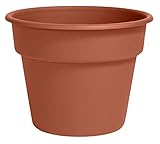 Bloem DC16-46 Dura Cotta Planter, 16-Inch, Terra Cotta
