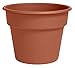 Bloem DC20-46 Dura Planter Terra Cotta 20in, 20