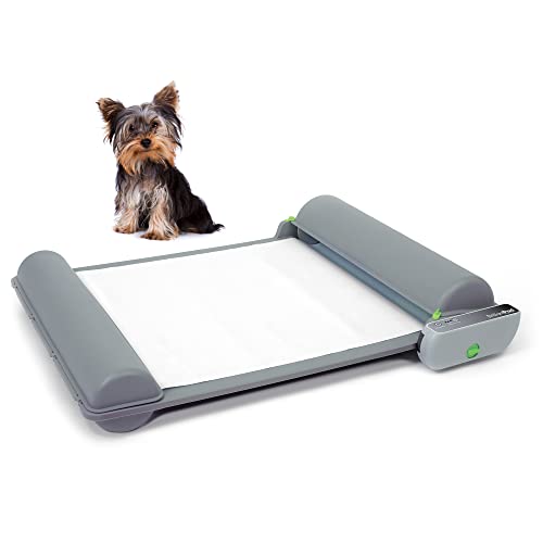 pet time grand dog toilet