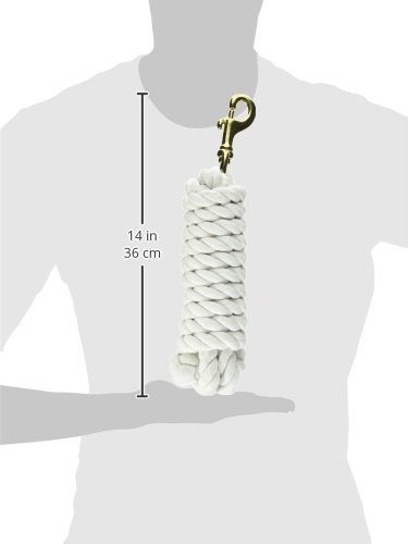Hamilton Cotton Lead with Brass-Plated Bolt Snap, White, 3/4" Thick x 10' Long