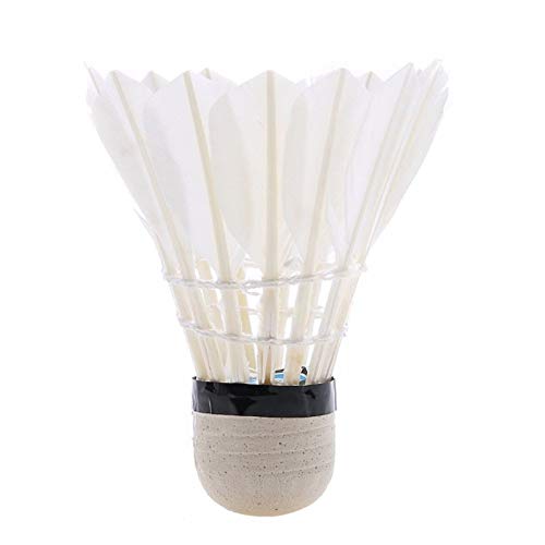 Alapaste 12-Pack Badminton Shuttlecocks Goose Feather Shuttlecocks Stable Durable Sports Training High Speed Badminton Birdies Balls,White
