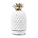 Design Accents Essential Oil Diffuser - Aromatherapy Ceramic Home Decor Cover Aroma Diffuser 100ml, White