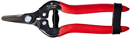 Corona AG 4920SS Short Curved Snip, Stainless Steel