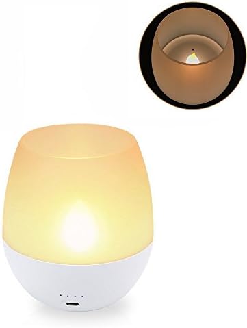LED Night Light Flameless Candle Bedside Lamp for Baby Sleeping,Blowing Sensor Control Tea Light USB Rechargeable Battery,Dimmable Brightness Nightlight for Home&Kitchen Outdoor Use,Warm White