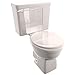 Plumbcraft White Toilet Flush Lever Trim-to-size, Fits Most Toilet Tanks