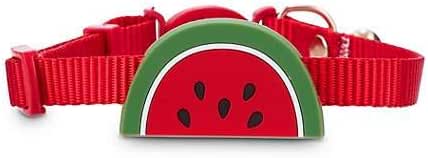 watermelon cat collar