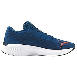 PUMA Men's Aviator Profoam Sky Running