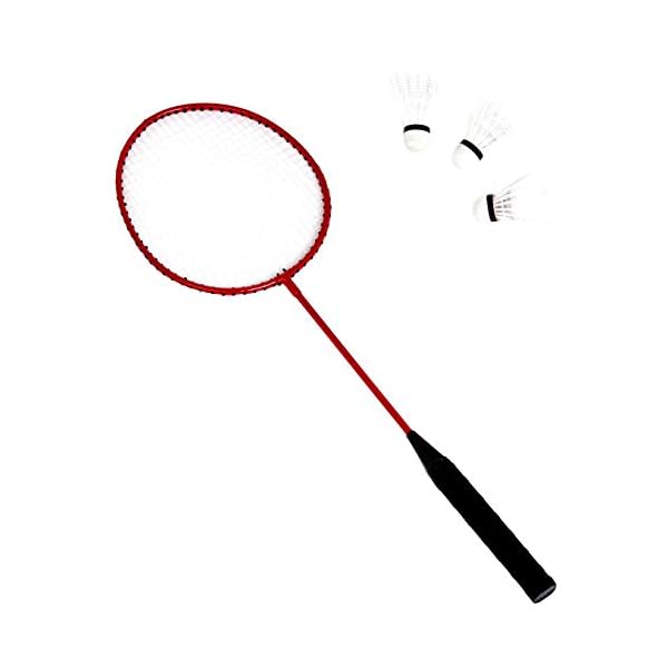 Amazon Basics Outdoor Volleyball and Badminton Combo Set with Net