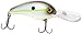 Strike King Pro-Model 5XD Series Crankbait