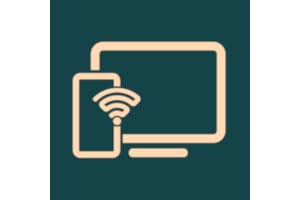 TV Screen Mirroring