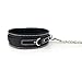 Super Soft Leather Fur Collar Choker with Leash Chain Necklace for Women Ladies