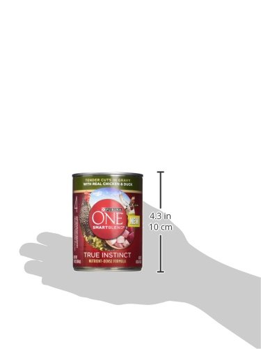 PURINA ONE HIGH PROTEIN WET DOG FOOD TRUE INSTINCT TENDER CUTS IN DOG FOOD GRAVY WITH REAL CHICKEN AND DUCK – (PACK OF 12) 13 OZ. CANS