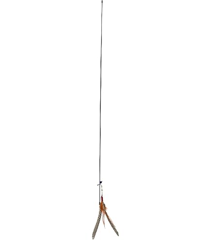 da bird fishing pole for cats Amazon.com : GoCat Da Bird Rod and Feather Cat Toy, Handmade in The USA (1  Bird) : Pet Feather Toys : Pet Supplies