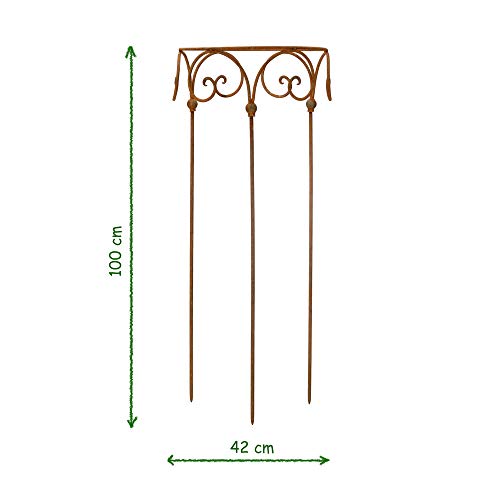 Gerry Staudenhalter Durchmesser Strauchhalter Staudenbinder rund Rankhilfe Stütze Pflanzen Metall Eisen Rost Deko (40cm) – Bild 4