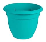 Bloem Ariana Self Watering Planter, 6", Calypso (AP0627), 6-Inch