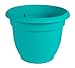 Bloem AP1227 Ariana Self Watering Planter, 12-Inch, Calypso