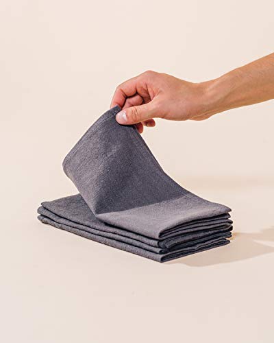 Caldo Linen Dinner Napkins - Soft and Durable Cloth - 4 Pack - 20x20 inch (Slate)