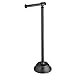 MetroDecor mDesign Traditional Free Standing Toilet Paper Holder for Bathroom, Black