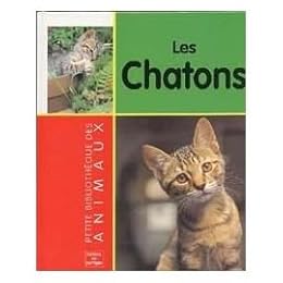 Les  chatons