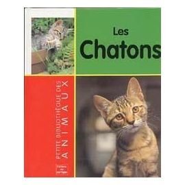 Les  chatons