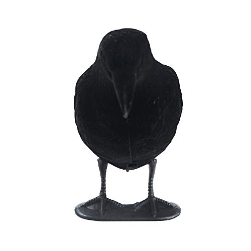 GUGULUZA Crow Decoys Full Body Plastic Crow Decoy for Hunting, Black