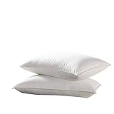 Goose Down Pillow - 1200 Thread Count Egyptian Cotton , Soft, Standard Size, Set of 2