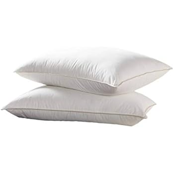 Amazon Com Luxurious Goose Down Pillow 1200 Thread Count