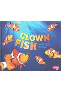 Clown Fish (Sea Life)