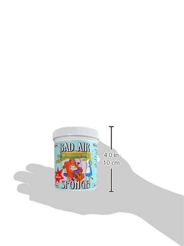 Bad Air Sponge Air Odor Absorbent, 14 ounce, 2-Pack