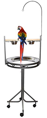 Mcage Large Wrought Iron Parrot Play Gym Ground Stand with Wood Perch Stainless Steel Tray Toy Hook and Stainless Steel Cups On Wheel