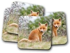 Worlddream Lot De 4 Sous Verres Motif Bebe Renard Roux Amazon Fr Cuisine Maison
