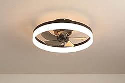 19.6" Ceiling Fans With Lights, Semi-enclosed Flush
