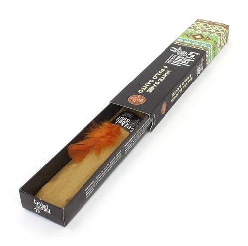 Tribal Soul Incense Sticks – Hand-rolled in India, Natural & Aromatic Scents for Cleansing, Meditation: (2 Pack, White Sage & Palo Santo)