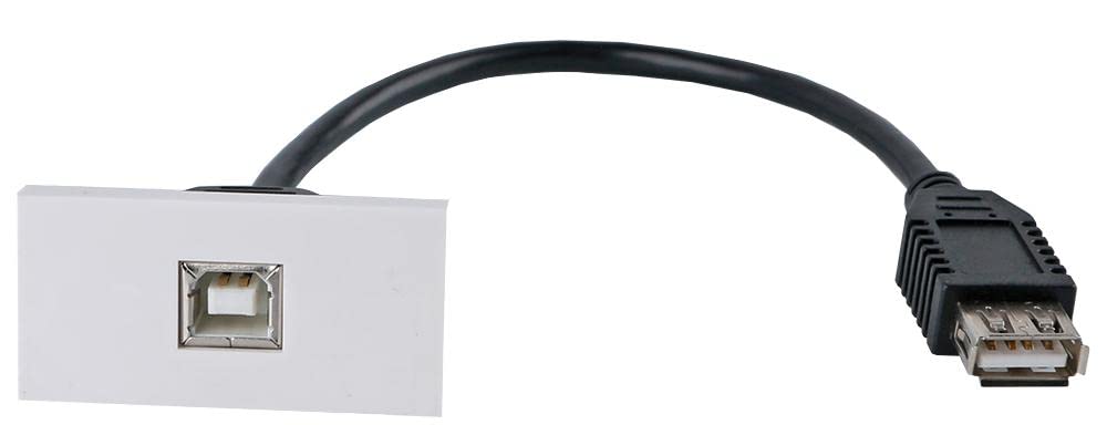 PRO SIGNAL USB 2.0 B Socket Wall Plate Module – 50x25mm Multimedia Coupler PSG3283