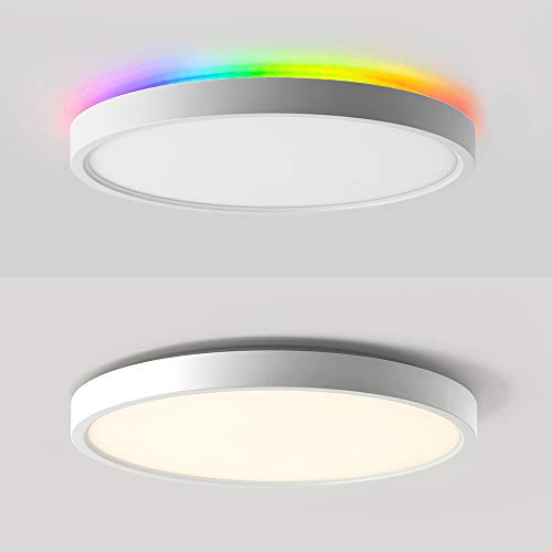 2in1 Smart LED Flush Mount Ceiling Light + Backlight, WiFi, Works with Alexa,Google Home,12