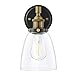 Linea di Liara Fiorentino Black and Gold Wall Sconce Lighting Fixture Farmhouse Bathroom Wall Sconce Bedroom Wall Lighting and Hallway Wall Light with Clear Glass Shade, LED Bulb Included, UL Listed