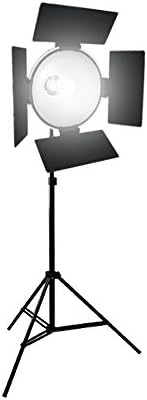 LoadStone Studio Photographic Continuous Output Lighting Kit, Black, White, Silver, Gold (V-PL1104)
